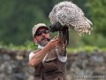 francois-harfang-g93_4539