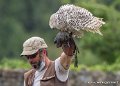 francois-harfang-g93_4541