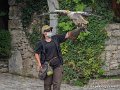 stagiaire-g93_4494