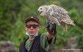 stagiaire-harfang-g93_4545