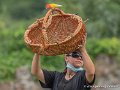 stagiaires-perruches-g93_4559