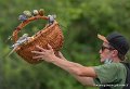 stagiaires-perruches-g93_4560