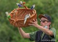 stagiaires-perruches-g93_4561