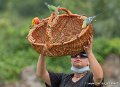 stagiaires-perruches-g93_4562