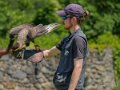 stagiaire-caracara-gh6_3452
