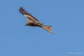milan-royal-g9_3296