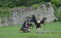 helia-pygargue-gh6_5622
