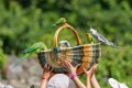 panier-gh7_2197