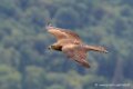 milan_5992