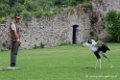 serpentaire_5961