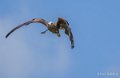 milan-a74_06429