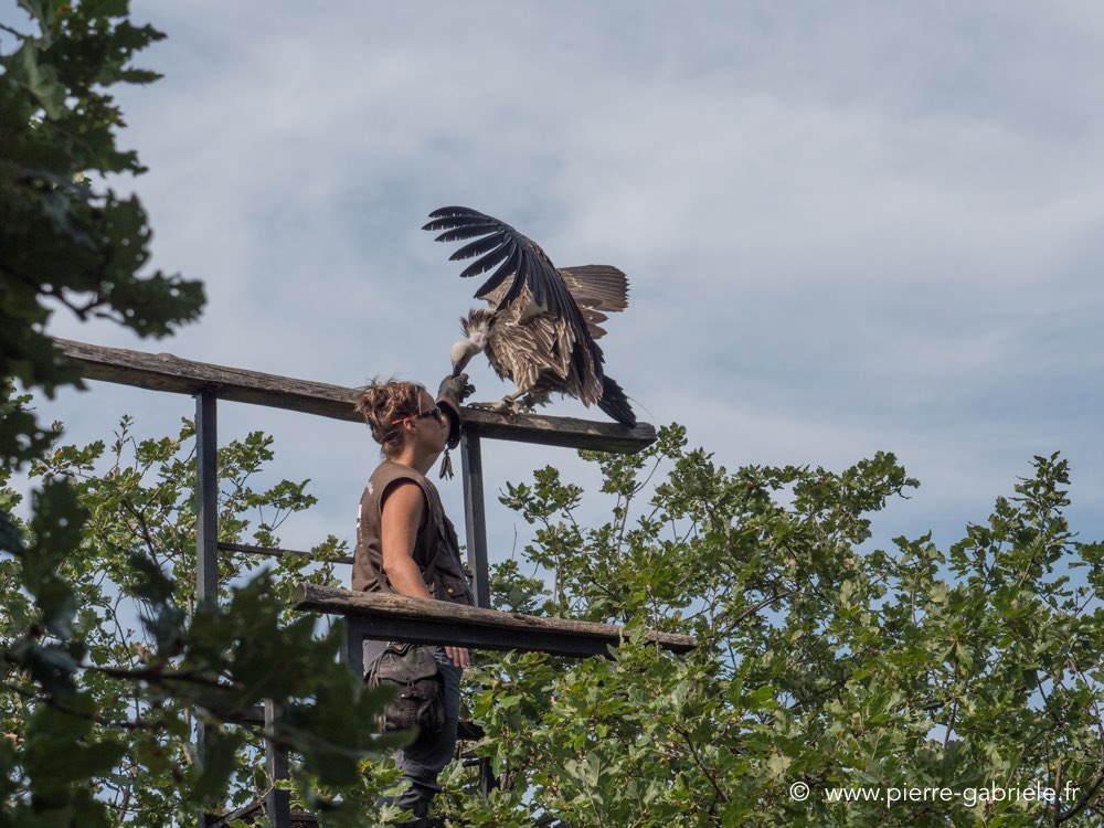 sandra-gx8-cathe_0200.jpg