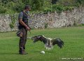 percnoptere_g91_8476