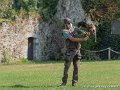 pygargue_g91_8473