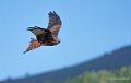 milan-royal-a73_0143-Modifier