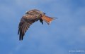 milan-royal-a73_0149