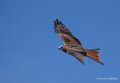 milan-royal-a73_0150