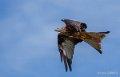 milan-royal-a73_0155-topaz