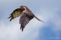 milan-royal-a73_0156-topaz