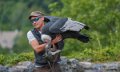 marvin-condor-a73_0255-topaz