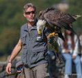 jloup-a74_07455