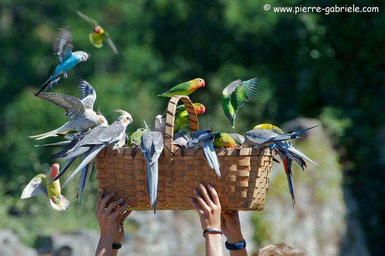 panier_3021.jpg