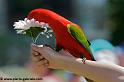 lori_9798