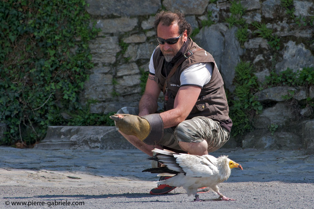 franck_4063.jpg