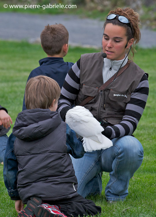 sandra_4003.jpg