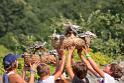 perruche_2843