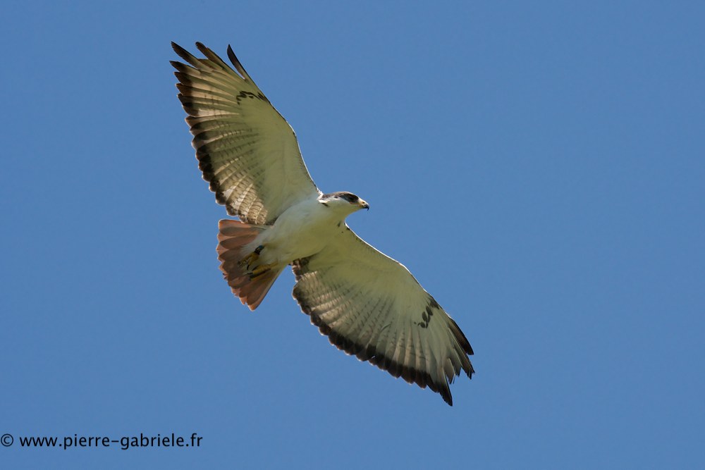 buse-des-augures_0684.jpg