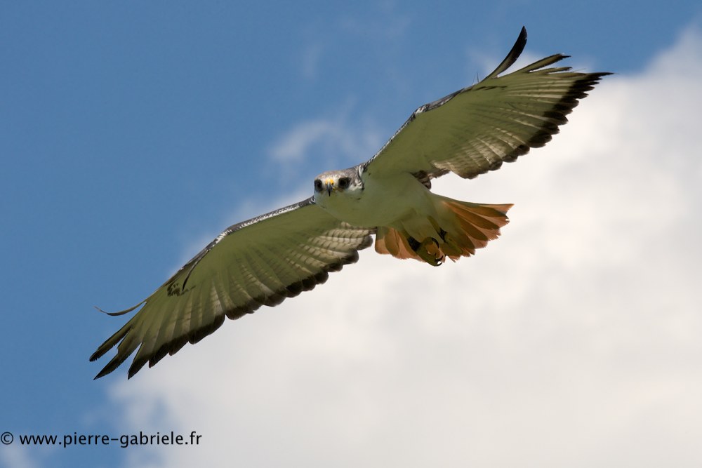 buse-des-augures_0706.jpg