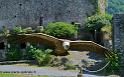 vautour_0845