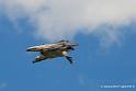 vautour_2581