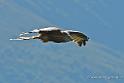 milan_4759