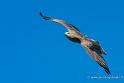 milan_4834