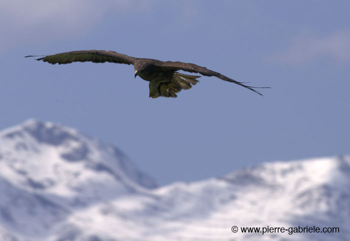 fondmontagne_7776.jpg