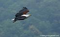 pyguargue_0272