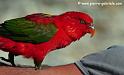 lori_4180
