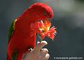 lorri_1793