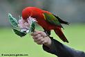 lori_4678