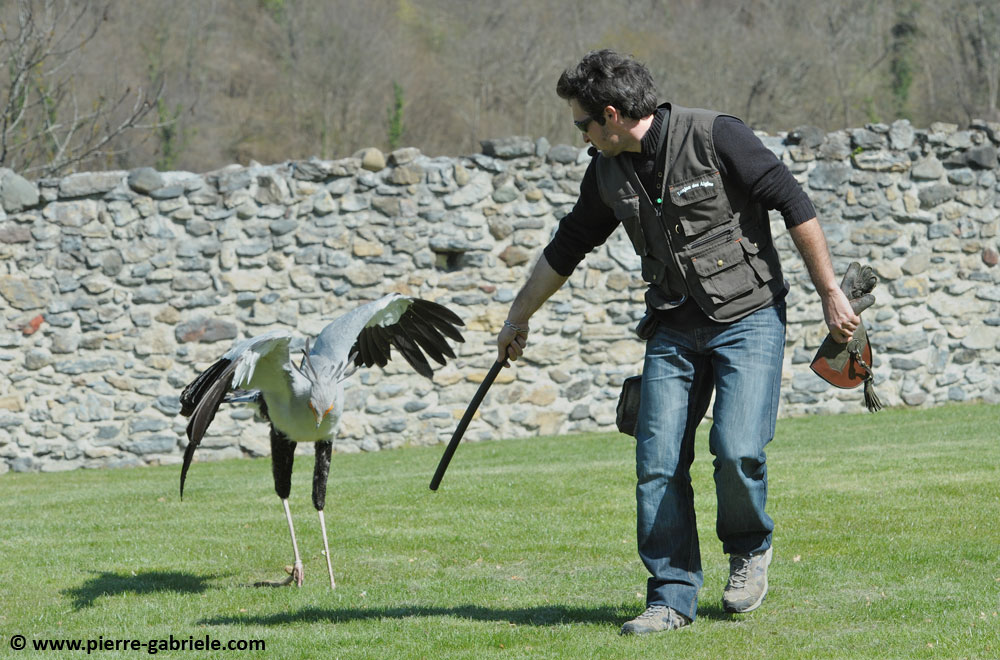fauconniers_-5591.jpg