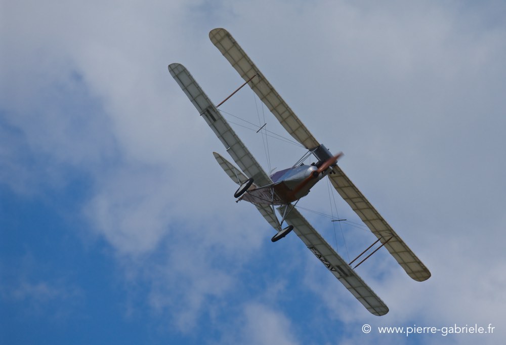 albatros-c2_2697.jpg