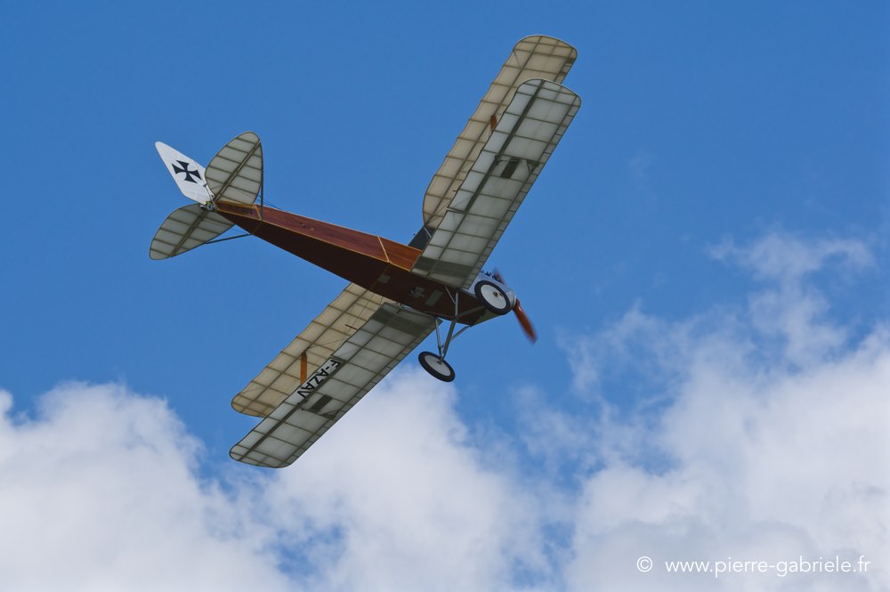 albatros-c2_2698.jpg