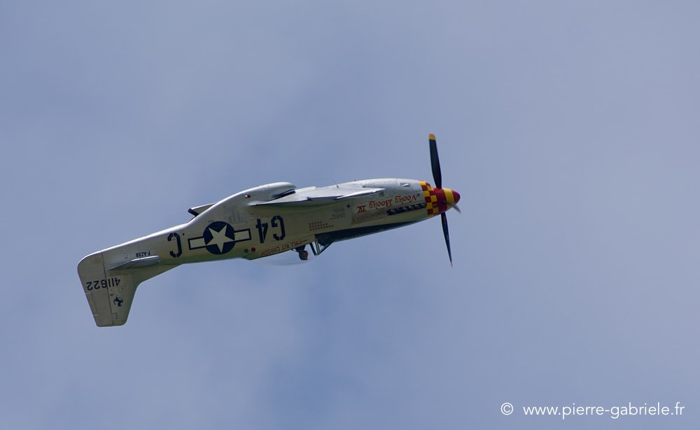 p51_0504.jpg