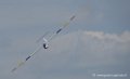 pilatus-b4_2260