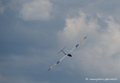 pilatus-b4_2703