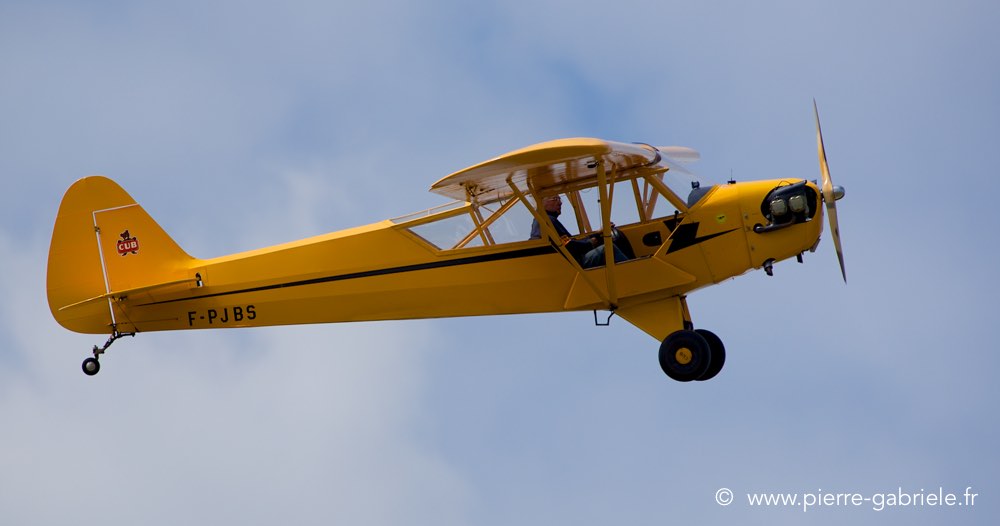 piper_0531.jpg