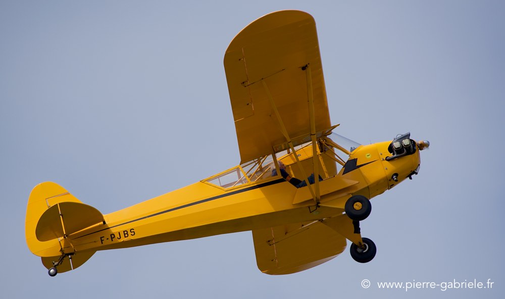 piper_0532.jpg
