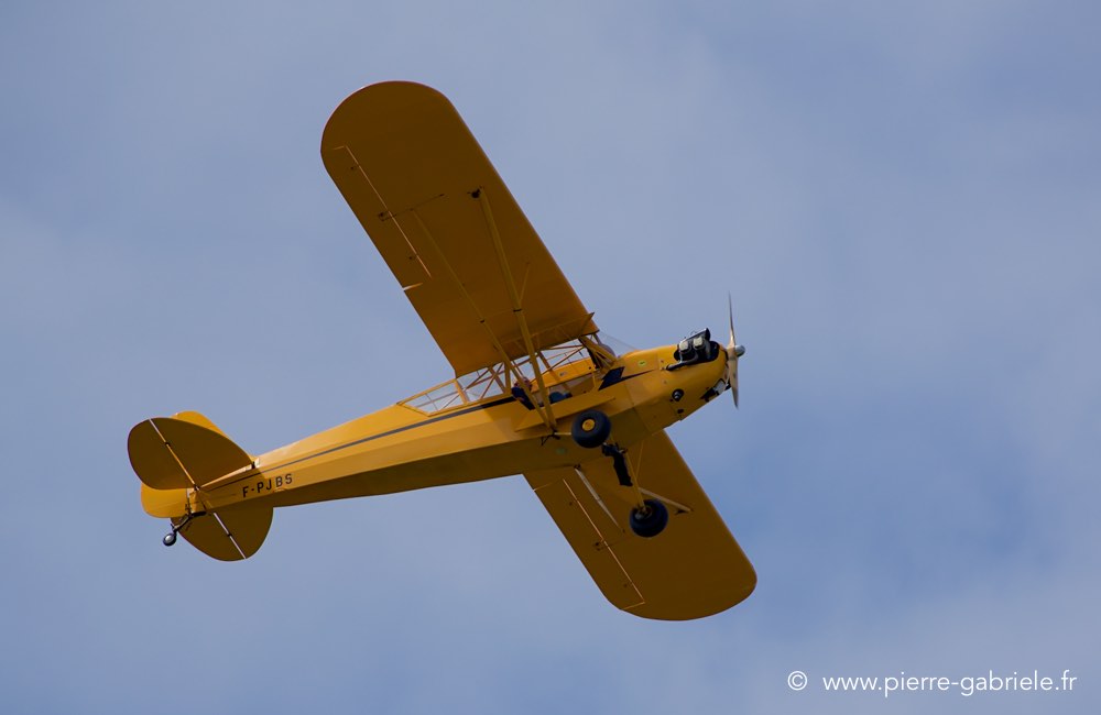 piper_0536.jpg